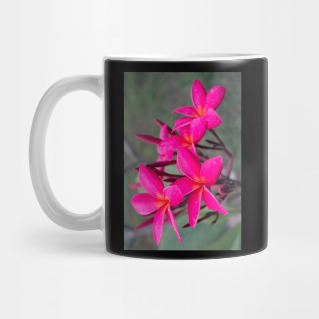 plumeria-flowers-frangipani-floral-blossom-purple-shirtyshirto-23 by Shirty.Shirto